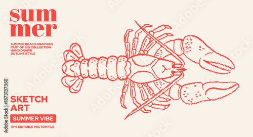 Lobster illustration. Sea crab drawing, line sketch vector. Lobster fish icon, marine graphic. Hand drawn seafood, doodle crawfish. Hand drawn sea food illustration. Outline red crayfish whimsical art