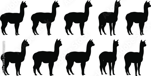 Llama and alpaca silhouette character set with standing poses, black animal vector illustration