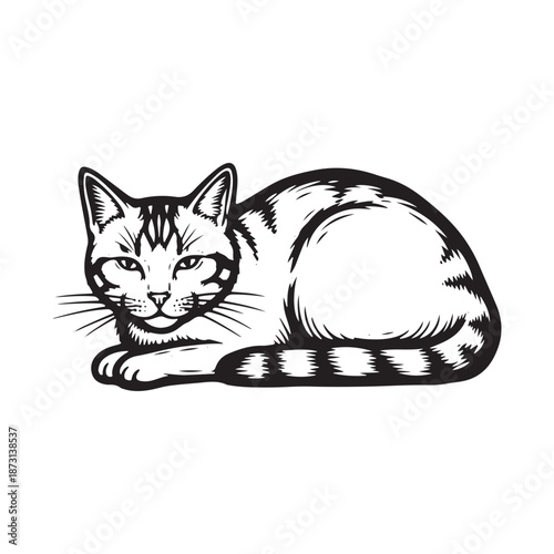 Vector file graphic design element in black and white