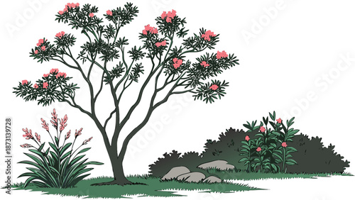 Illustration of a Flowering Tree with Shrubs and Rocks.
