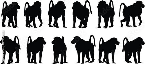 Monkey silhouette character set with standing and walking poses, black wild primate vector illustration