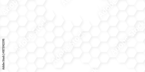 Minimal white hexagonal hexagon digital technology creative emboss light honeycomb polygonal web. abstract geometric science and mosaic tile with template texture background.