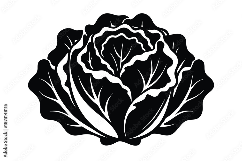 Obraz premium Botanical Lettuce Leaf Silhouette Graphic, Black and White Vector for Healthy Recipes
