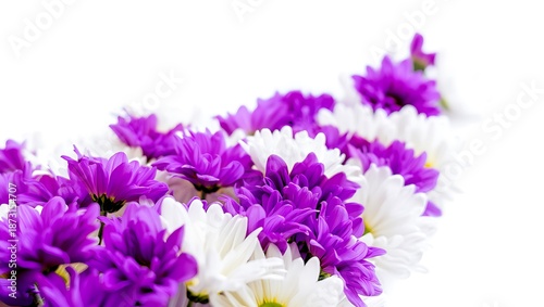 Vibrant Purple and White Flowers Bouquet on Transparent Background