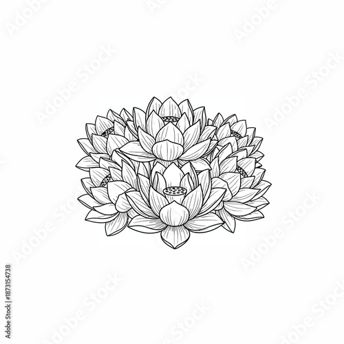A detailed black and white line art illustration of a cluster of beautiful lotus flowers, showcasing intricate petals and botanical elegance.