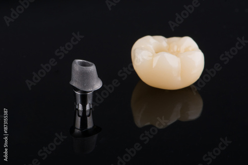 Canvas-taulu Single dental crown of molar with individual titanium abutment for fixation on implant