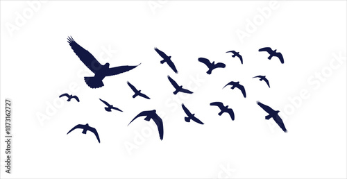Dynamic Flock of Flying Birds Silhouettes Vector Graphic Isolated on White Background Minimalist