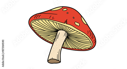 A colorful cartoon illustration of a single red fly agaric or amanita mushroom seen from a low angle perspective.