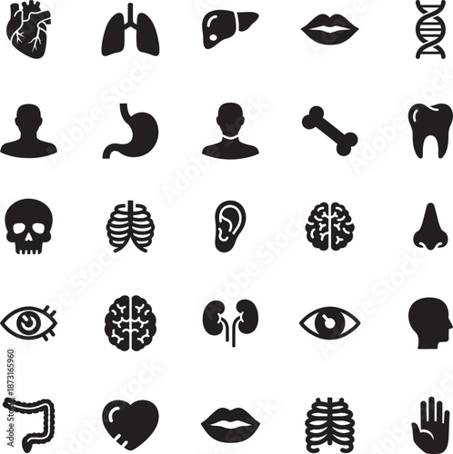 Human Body Parts and Anatomy Silhouette icon collection. Includes Silhouette symbols heart, brain, lungs, skull, eye and more. Isolated icons. Anatomy icon set. Minimalist icons pack.