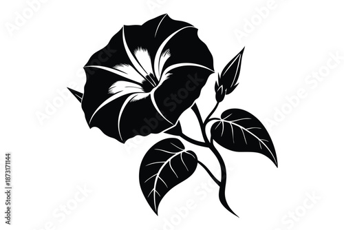 Abstract Morning Glory Floral Silhouette, Unique Black Botanical Vector for Modern Branding and Posters