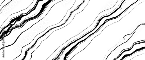 Vector abstract wood skin texture white background 