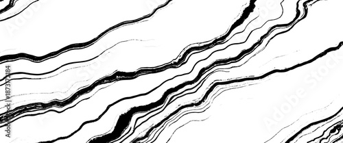 Vector abstract wood skin texture white background 