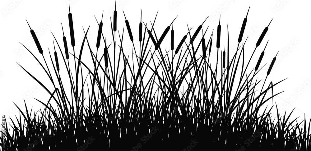 custom made wallpaper toronto digitalCattail grass silhouette, wetland plant vector, black marsh vegetation, nature illustration, pond edge flora, swamp reeds, aquatic landscape art