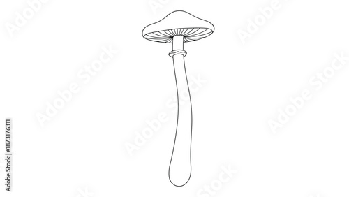Elegant black and white outline of a tall slender mushroom with a delicate cap and long stem for nature coloring pages.