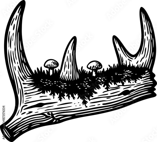 rustic woodland antler with moss and small mushrooms growing on surface