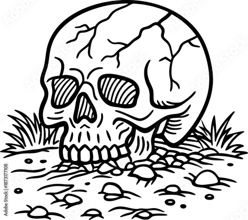 human skull resting on rocky ground with grass and cracked bone details illustration