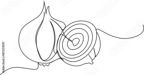 Continous line onion illustration. Minimal one line art vegetables. Organic food outline vector drawing.
