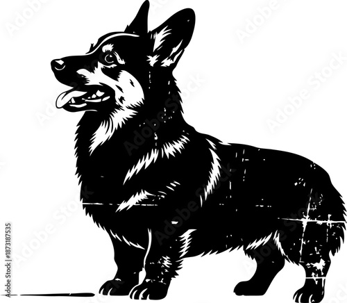 Black and white illustration of a happy corgi dog standing and looking upwards