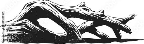 Abstract black and white illustration of twisted tree branches with textured bark