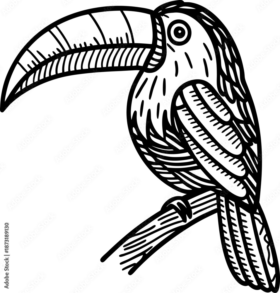 Fototapeta premium Black and white toucan illustration with prominent beak and detailed feather patterns on branch