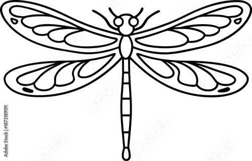 dragonfly outline illustration with detailed wings and segmented body, insect line art drawing
