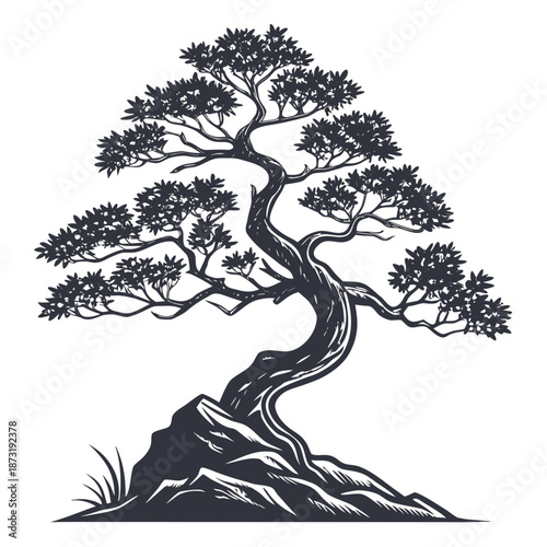 Graceful bonsai tree on rocky terrain