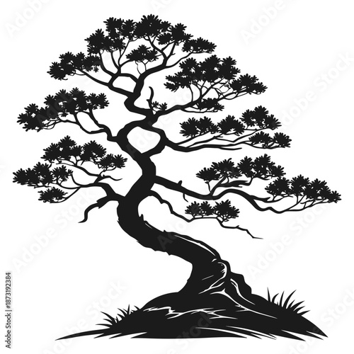 Elegant bonsai tree silhouette