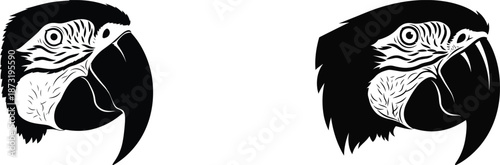 black bird silhouette on white background