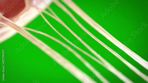 Abstract lines against green background for digital design and visual effects