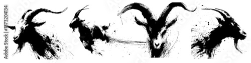 Chinese new year goat zodiac brush painting with dynamic ink strokes on white background