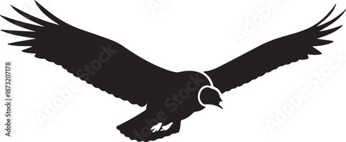 vector illustration of a Turkey Vulture