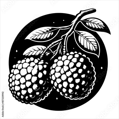 Black and white illustration of two blackberries on a branch with leaves against a circular black background.