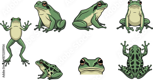 Cartoon frog poses, green amphibians, frog anatomy, character design, artistic illustration, animal sketch, frog views, educational drawing, fun style