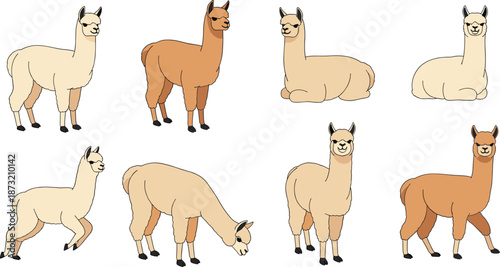 Cartoon llama illustrations, cute animal poses, stylized alpacas, playful expressions, vector drawing, farm animals, fluffy creatures, nature art, character design