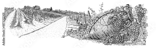 Vintage amphora for wine among grapes and vine on vinery landscape background. Hand-drawn sketch, vector illustration, isolated on a white background. Greece, Italy or Georgia wine