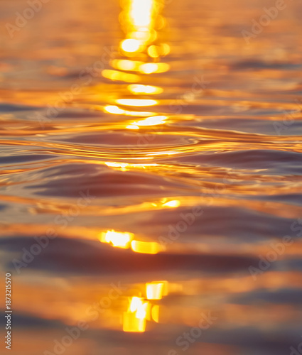 Golden Sunlight Reflecting on Water Ripples