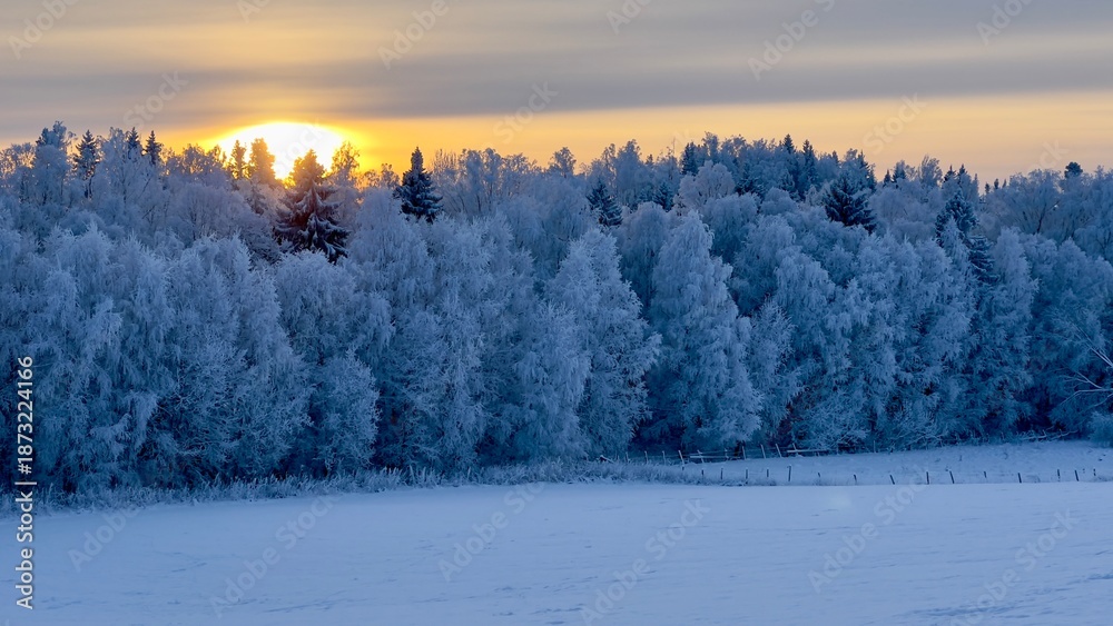 Fototapeta premium Sunset Picture of Norwegian Countryside Environment Field Landscape Covered in Snow Winter Nature Horizontal Photo