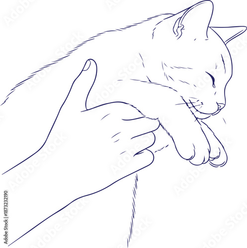 A hand gently petting a sleeping cat in a peaceful moment vector illustration