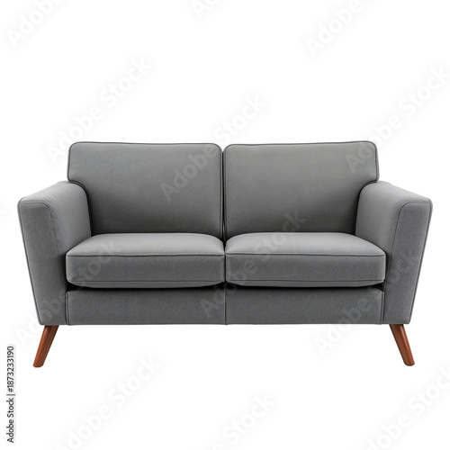 Comfortable Gray Sofa With Wooden Legs in Simple Living Room Setting for Rela...