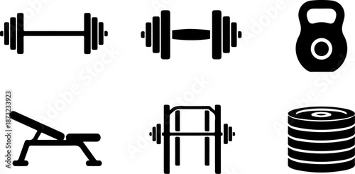 Ultimate Iron & Steel: The Essential Gym Equipment Collection