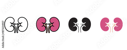 Kidney anatomy icon set vector on white background. human body, medical, health, organ symbol. vector illustration.