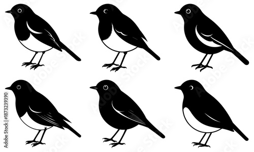 Five black and white birds standing on a white background silhouette