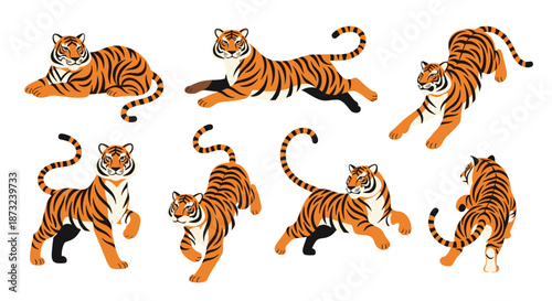 Set of tiger illustrations shows the majestic animal in various active poses like running and jumping on a plain white background.
