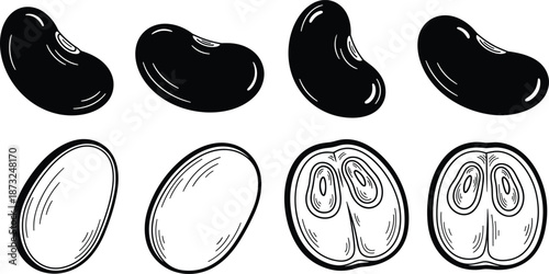 Kidney, bean, set, whole, sliced, food, legume, organic, ingredient, cooking, line, art, black, white, outline, botanical, cad, drawing, flat, vector