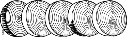 Onion, slices, vegetable, line, art, black, white, outline, food, ingredient, cooking, organic, pattern, cad, drawing, flat, vector, illustration, isolated, background