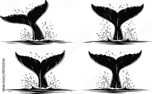 Whale, tail, set, ocean, splash, line, art, black, white, silhouette, marine, animal, nature, wildlife, cad, drawing, flat, vector, illustration, isolated