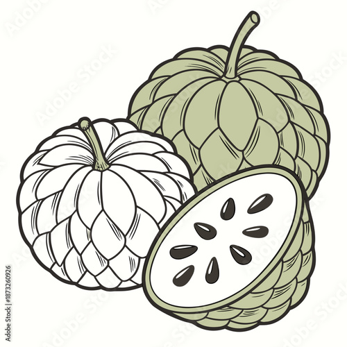 Green and white sugar apples with one cut open sweetsop