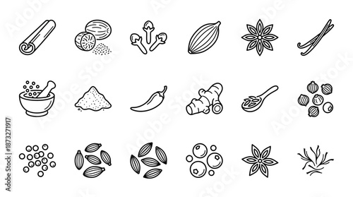 A collection of various spice and herb illustrations on a white background