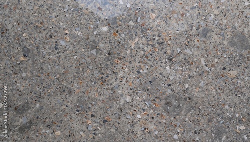 Close-up of a Textured Stone Surface Showing Various Colors and Patterns in a...