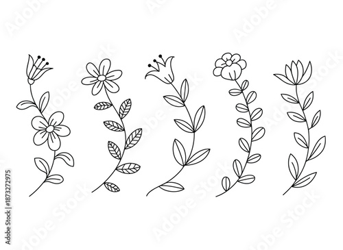 A collection of delicate line drawings of various botanical floral stems and plants